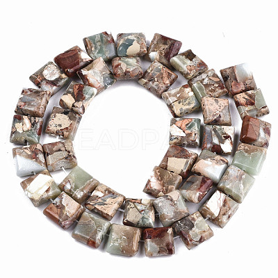 Natural Aqua Terra Jasper Beads Strands G-S366-018B-1
