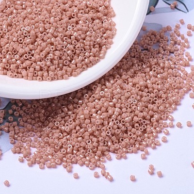 MIYUKI Delica Beads SEED-X0054-DB1363-1