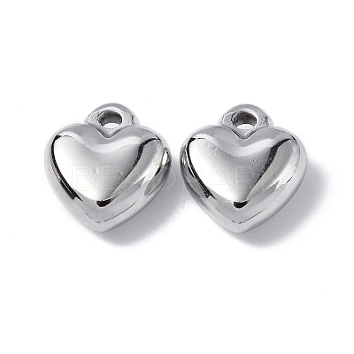 Non-Tarnish 304 Stainless Steel Charms STAS-C066-16P-1