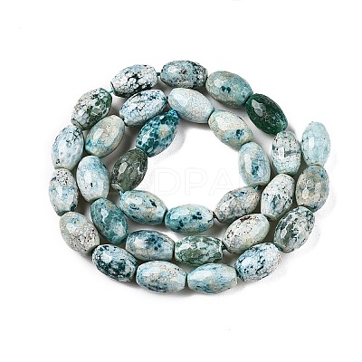 Natural Agate Beads Strands G-T138-180J-1