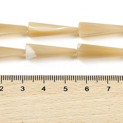 Natural Trochus Shell Beads Strands BSHE-G036-04-1