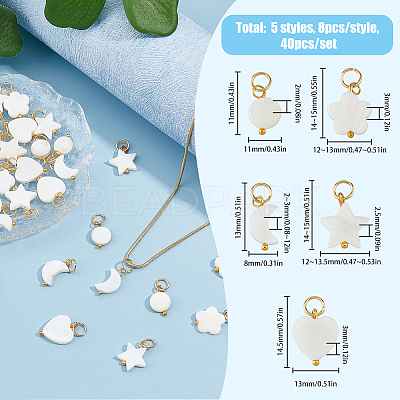 40Pcs 5 Styles Natural Freshwater Shell Charms PALLOY-AB00085-1