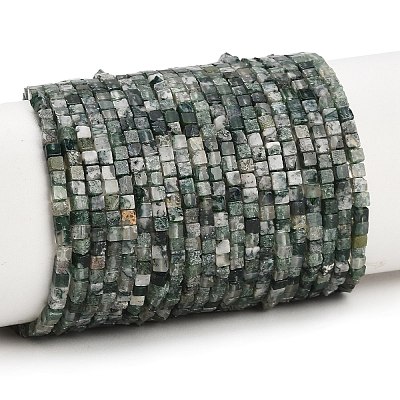 Natural Moss Agate Beads Strands GG-CBA2498-A04-01-1