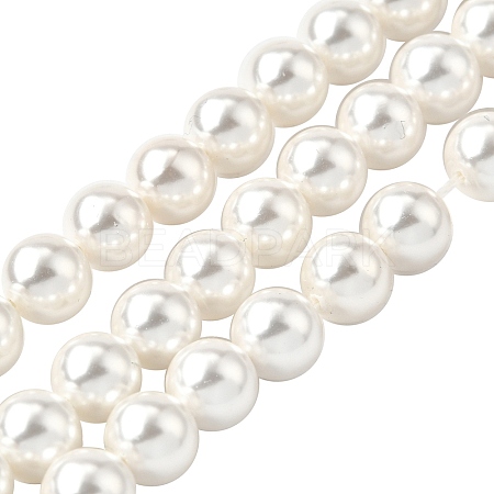 Rainbow Plated Shell Pearl Bead Strands BSHE-L025-02-8mm-1