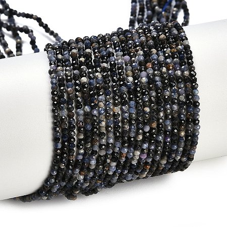 Natural Sapphire Beads Strands X-G-P553-G07-01-1