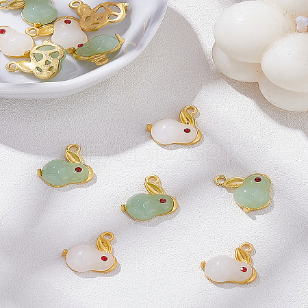 12Pcs 2 Colors Alloy Enamel Pendants FIND-LP0002-70-1