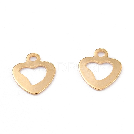 201 Stainless Steel Charms STAS-B001-23G-1