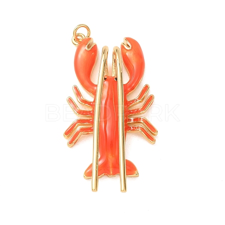Brass with Enamel Pendants KK-CBA2F11-10G-02-1