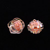 Transparent Acrylic Beads TACR-T024-06B-2