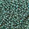 TOHO Round Seed Beads SEED-XTR11-0953-2