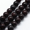 Natural Brecciated Jasper Beads Strands G-I199-31-10mm-1