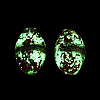 Luminous Handmade Gold Sand Lampwork Beads FOIL-N035-01B-2