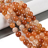 Natural Red Bloodstone Beads Strands G-P530-B01-03-2