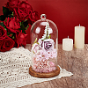 Arch Glass Dome Cover AJEW-WH0481-606F-4