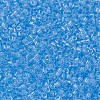 MIYUKI Delica Beads Small SEED-X0054-DBS0706-3