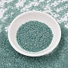 MIYUKI Delica Beads SEED-MY11-DB1767-2