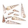 Electroplate Natural Spiral Shell Big Pendants SSHEL-Q100-26KCG-1