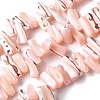 Dyed Natural Trochus Shell Beads Strands SSHEL-C013-09L-1