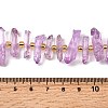 Natural Quartz Crystal Beads Strands G-F800-C20-4