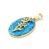 Rack Plating Brass Pendants KK-U032-91G-11-2
