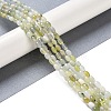 Natural New Jade Beads Strands G-K362-I02-01-2