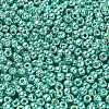 TOHO 6/0 Round Beads SEED-TR06-PF0561-3