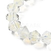 Handmade Lampwork Beads Strands LAMP-Q036-03D-3