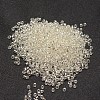 12/0 Transparent Glass Round Seed Beads SEED-J010-F12-21-2