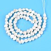 Natural Cultured Freshwater Pearl Beads Strands PEAR-T006-18A-3