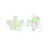 Transparent Acrylic Beads MACR-S373-105-B06-2