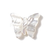 Natural White Shell Beads BSHE-G031-04-1