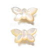 Natural White Shell Beads BSHE-Z008-02-2