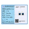 925 Sterling Silver Dangle Earrings EJEW-BB33798-2