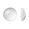 Transparent Glass Cabochons X-GGLA-R026-10mm-1