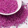 8/0 Transparent Glass Seed Beads SEED-F003-03B-06-1