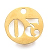304 Stainless Steel Pendants STAS-F233-30-G-2