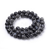 Natural Larvikite Beads Strands G-S259-06-12mm-2