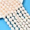 Natural Cultured Freshwater Pearl Beads Strands PEAR-F020-04A-3A-1