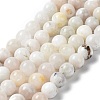 Natural Rainbow Moonstone Beads Strands G-N328-024-10mm-2
