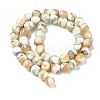 Natural Seashell Shell Beads Strands SH-CBAFEDD-01A-5