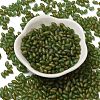 Transparent Colours Glass Seed Beads X-SEED-F006-03A-04-2