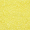 Baking Paint Glass Seed Beads SEED-L011-09A-20-3