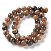 Natural Black Sunstone Beads Strands G-U009-A01-04-3