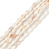 Natural Freshwater Shell Dyed Beads Strands SHEL-M018-13-13-2