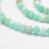 Natural Amazonite Bead Strands G-P279-42-3mm-3