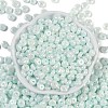 Opaque Colours Luster Glass Seed Beads SEED-P008-01C-04-3