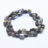 Natural Labradorite Beads Strands X-G-E483-60-2