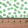 FGB Baking Paint Glass Seed Beads SEED-Q040-09A-12-4