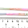 Rainbow Color Dyed Natural Freshwater Shell Beads Strands SHEL-G018-02B-4