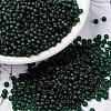MIYUKI Round Rocailles Beads SEED-X0055-RR0156F-1